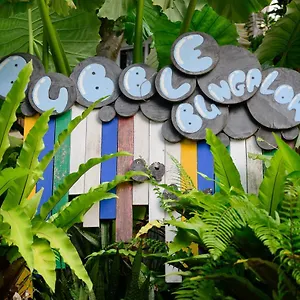 Resort Bubble